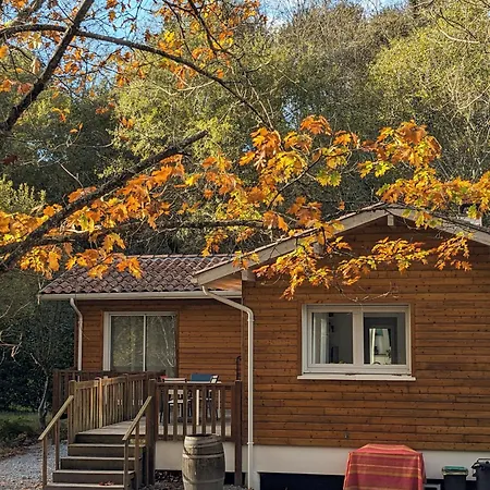 Chalet Côté Castets