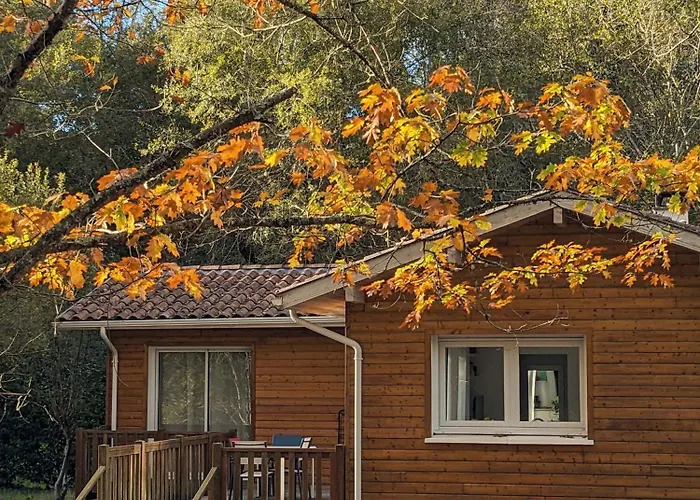 Chalet Côté Castets