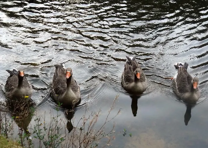 Chalet Côté Castets